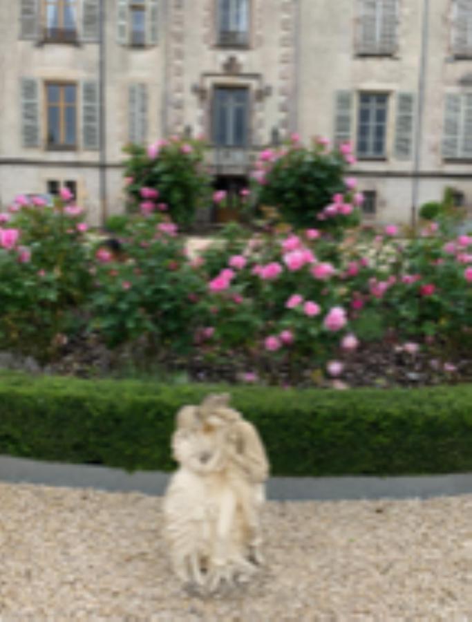 Chateau Pont Jarno B&B Champdeniers Bagian luar foto