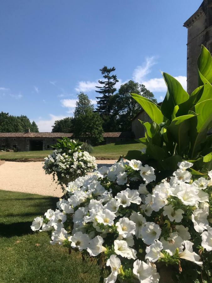 Chateau Pont Jarno B&B Champdeniers Bagian luar foto